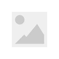 NPU & Multicore Processors